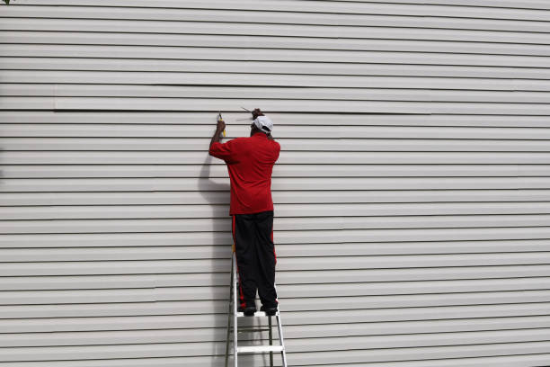 Best Aluminum Siding Installation  in Tyndall Af, FL